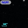 NGPFG  9033