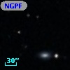 NGPFG  2137