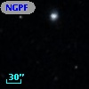 NGPFG  8688