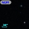 NGPFG  1411