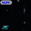 NGPFG  1596