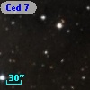Ced   7
