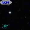 NGPFG  3121