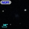 NGPFG  2481
