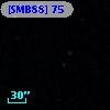 [SMB88]   75