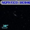 NGP9 F323-1020469