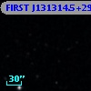 FIRST J131314.5+292203