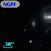 NGPFG  1021