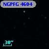 NGPFG  4604