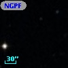 NGPFG  2918