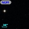 NGPFG  2817