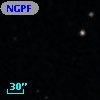 NGPFG  1236