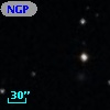 NGPFG   998