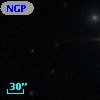 NGPFG   502