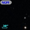 NGPFG  1119