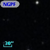 NGPFG    82