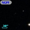 NGPFG  2961