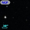 NGPFG   437