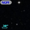 NGPFG    21