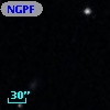NGPFG  1519