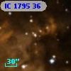 IC 1795   36