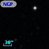 NGPFG   951