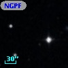 NGPFG  1600