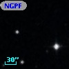 NGPFG  1629