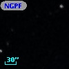 NGPFG  1901