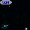 NGPFG  1177