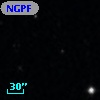 NGPFG  1161