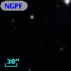 NGPFG  1393
