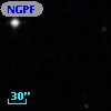 NGPFG  2554