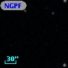 NGPFG  2994