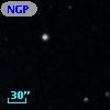 NGPFG   973