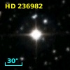 HD 236982