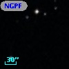 NGPFG  1979