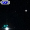 NGPFG   981