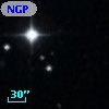 NGPFG   821