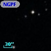 NGPFG  2007