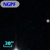 NGPFG  1001