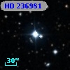 HD 236981