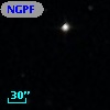 NGPFG  2998