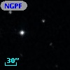 NGPFG  1625