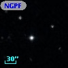 NGPFG  1655