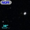NGPFG    10