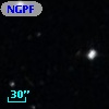 NGPFG    17