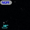 NGPFG  2919