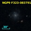 NGP9 F323-0837911