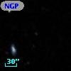 NGP9 F323-0801990